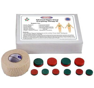 Organ Therapy Health Magnets Liver Kidneys Brain Magnetic Energy Biomagscience