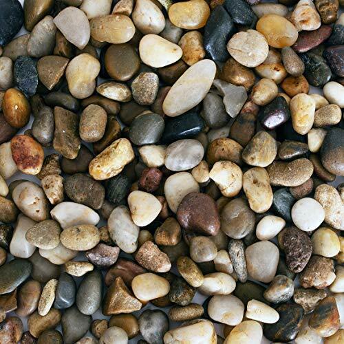 River Rocks Polished Pebbles Decorative Stones Natural Aquarium Gravel 2 Lb Bag