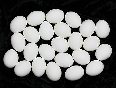 24 Real Chicken Eggs - 2 Dozen Jumbo Hand Blown W/white Shells - Pysanky Easter