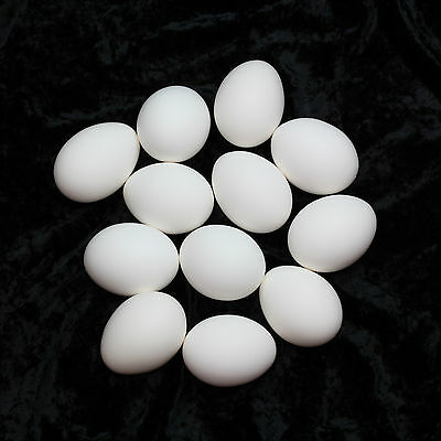 Twelve Empty Real Chicken Eggs Dozen Jumbo Hand Blown White Shell Pysanky Easter