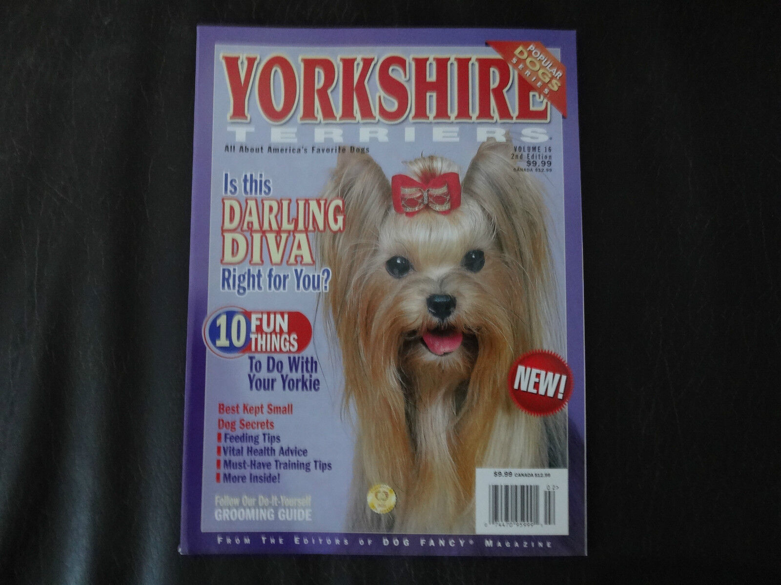 Popular Dog Series-yorkshire Terriers