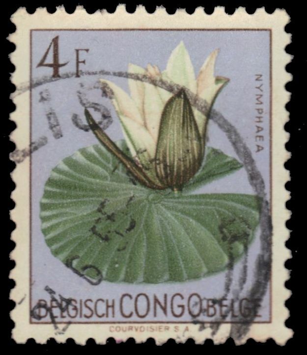 Belgian Congo 276 - Nymphaea Flowers (pb28308)
