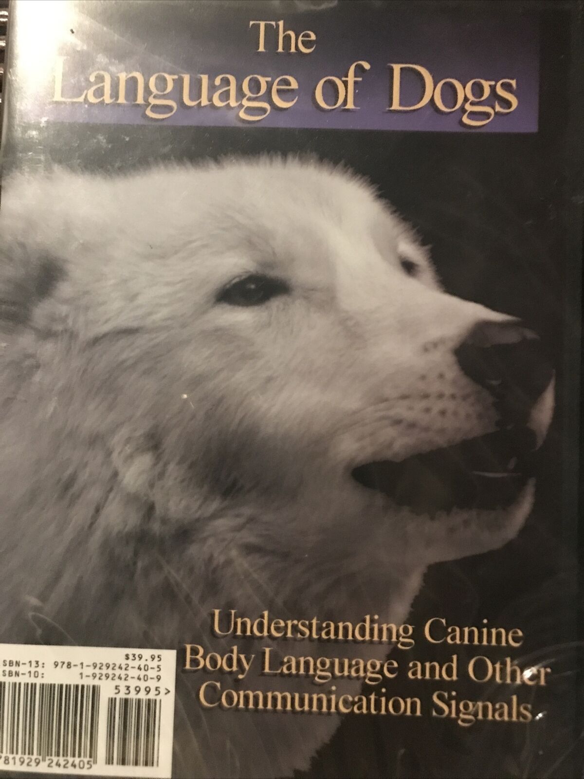$39 Dvd Language Of Dogs By Canine Behaviorist Sarah Kalnajs K9 Body Language